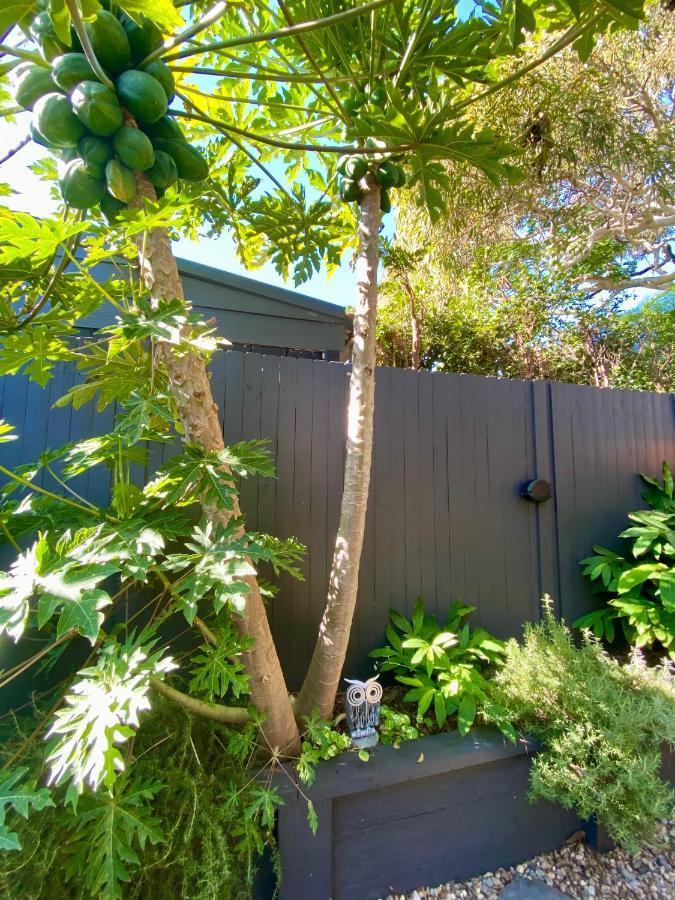 シドニーThe Mitchell Bondi Garden 4アパートメント エクステリア 写真